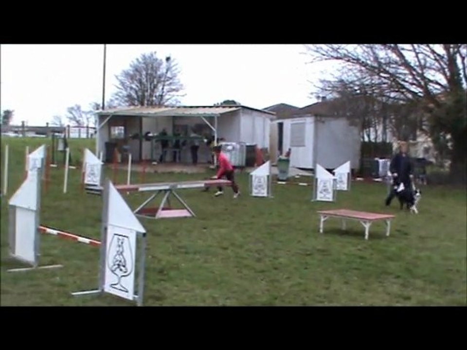 Carla & City Entraînement Agility à Cognac le 7 Janvier 2012