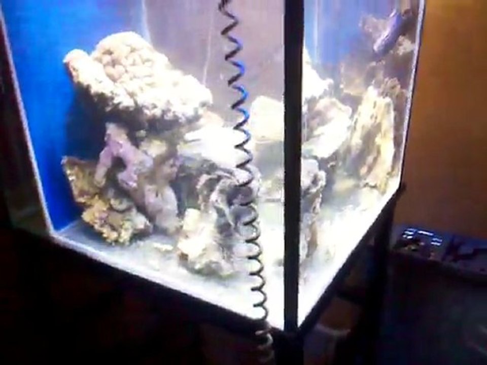 2012-01-07_19-07-05_293