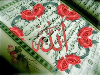 MEZZEP YURDAGÜL NERDESİN