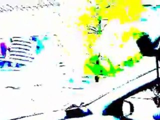 Franky è arrivata! 🎉