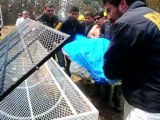 Bombeiros mortos no Chile