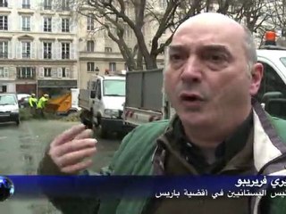 باريس تزيل أشجار عيد الميلاد وتستفيد منها على طريقتها