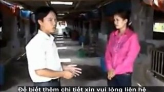 Cách ủ men vi sinh NN1 - chế phẩm men vi sinh NN1- cho chăn nuôi heo, gà, vịt, cá .... phần 6