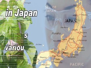 Powerful Ingredients In BioDream