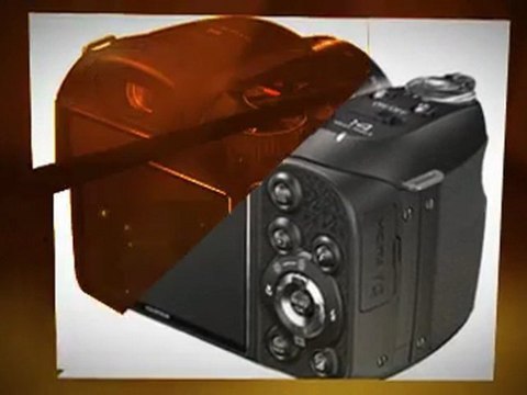 Best Bargain Review - fujifilm FinePix S2950 14 MP 18x ...