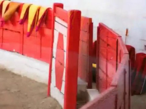 Corrida (de Francis Cabrel) collab ThierryDelnatte_Lake