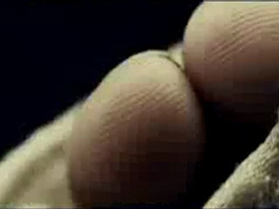 Creature VO DVDSCREEN 2011 bande annonce vf