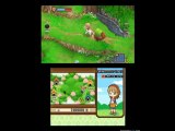 Harvest Moon 3D The Tale of Two Towns (U) 3DS ROM Game Download
