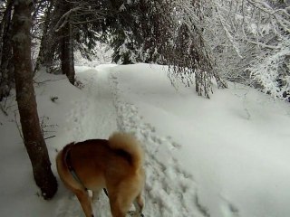 2012-01-08 - Bauges Crolles - 01