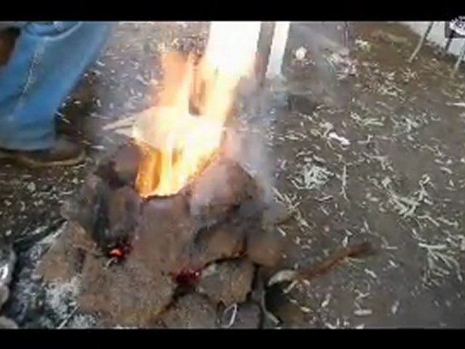 كانون  فيتورة في معصرة علي