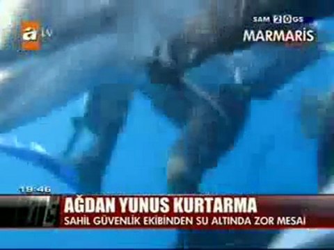 Atv HBR 7 Part 2 O WWWOLAYWEBCOM