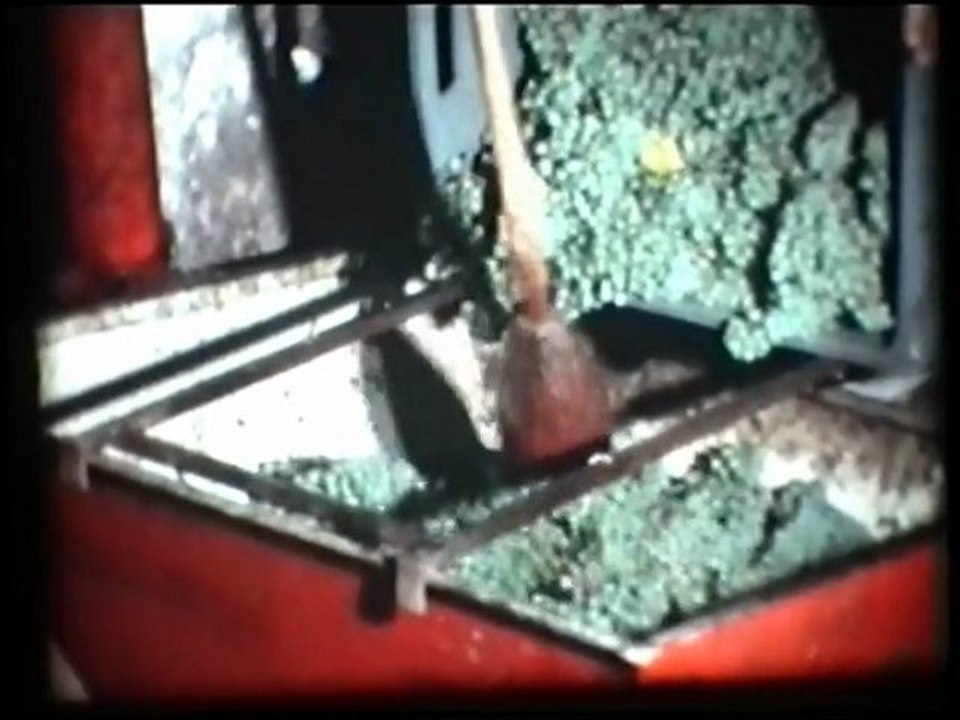 Extraits "St Martin à l'heure du raisin" (1975) Famille Lelarge