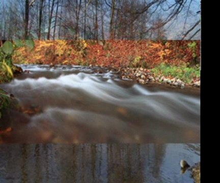 Evgeni Dushanov i Svetla Angelova Евгени Душанов и Светла Ангелова Назад,назад моме Калино