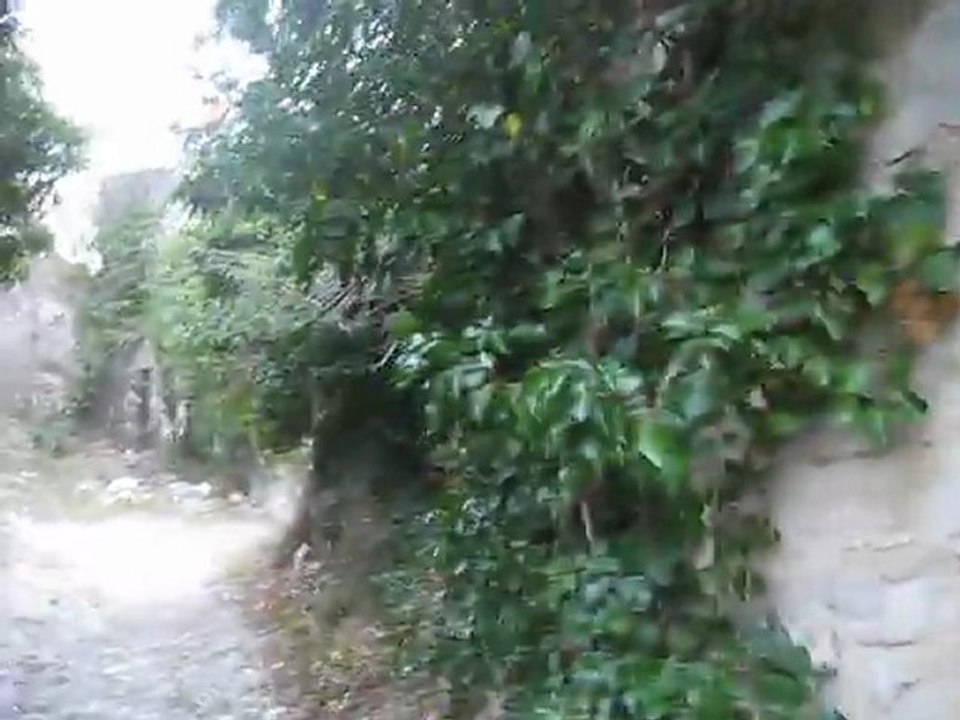 Traversée du Vieux Noyer