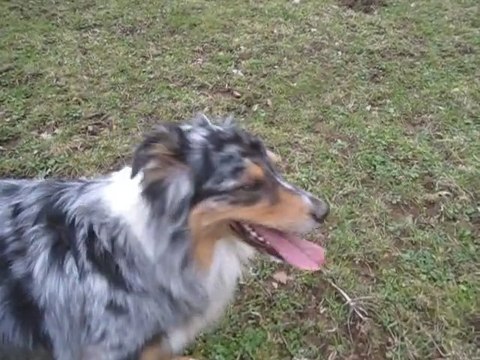 sortie dominicale suite