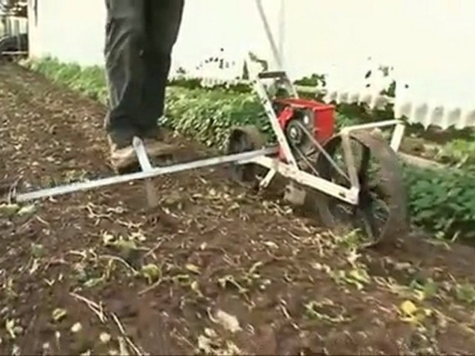 Semoir manuel : démonstration pour semis en ligne