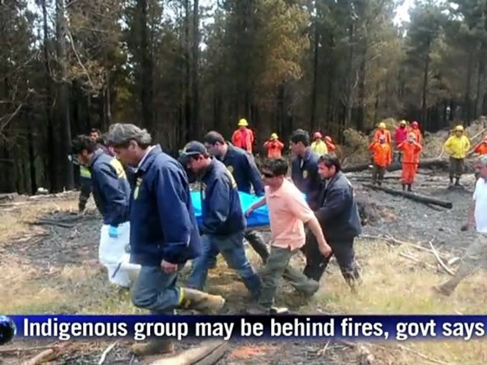 Chile wildfires leave 7 dead