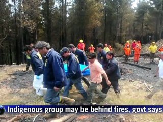 Chile wildfires leave 7 dead