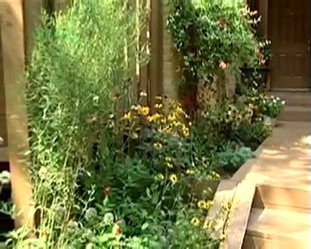 Changing the Forecast for Wildlife Certified Wildlife Habitats