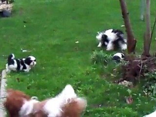 partie de jeu avec maman