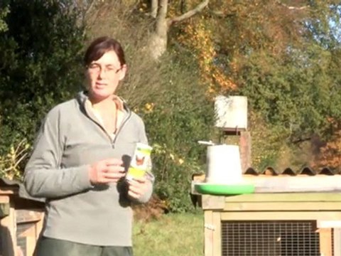 How To Worm Chickens