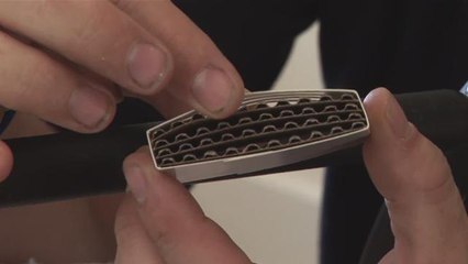 How To Deal With Bed Bugs