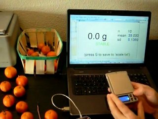 Electronic scale - interface PC