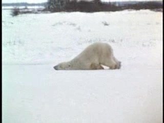 comment aller au boulot le lundi