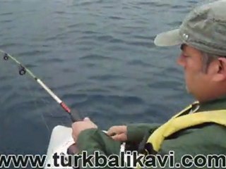 Bacanaklar  Muhteşem Şekilde, Çupra Avı İle Geri Döndüler