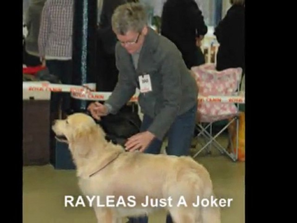 Paris Dog Show 7 janvier 2012 Ouverte mâles