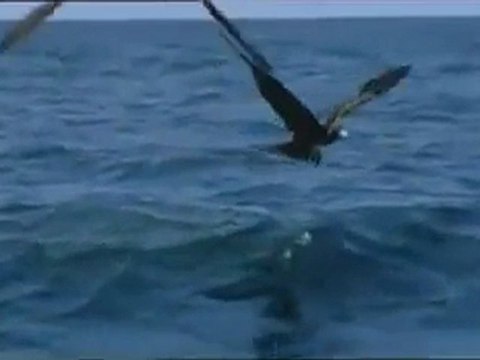 Derin Okyanus Bölüm-4 (4/4)