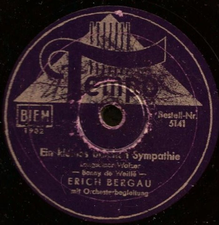 Ein kleines bischen Sympathie - Erich Bergau mit Orchesterbegleitung