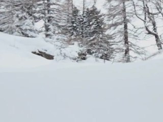 Thibaud Duchosal Video Blog #1