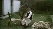 Disk 1 - Dying Wool and Spinning Wheel hands from rte tv ireland