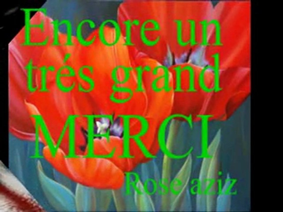 DES FLEURS POUR VOUS MES AMIS(ies)