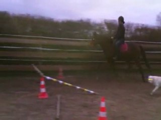 tsar 080112