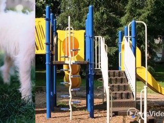 Costa Biscaya Homes Apartments in San Antonio, TX - ...