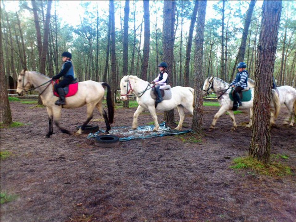 4 Janvier 2012 14h30 TREC tournant