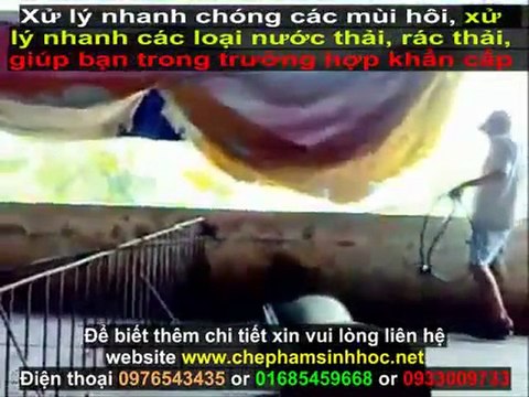 xử lý nước thải chăn nuôi chuồng trại - xử lý nước thải chăn nuôi trang trại - xử lý mùi hôi nước thải - hiệu quả, nhanh chóng