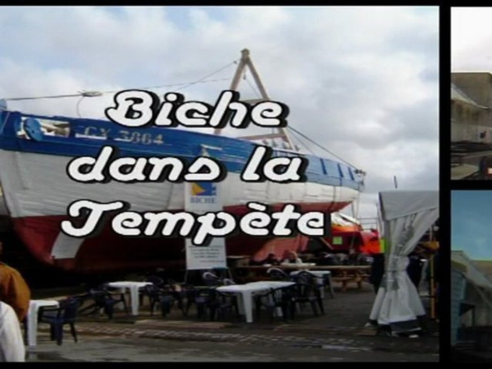 Biche dans la tempète