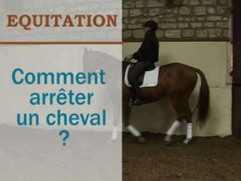 Equitation - Comment arrêter un cheval