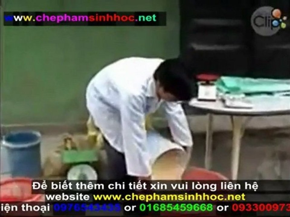 Hướng dẫn sử dụng men vi sinh NN1 để ủ thức ăn tinh cho gia súc, gia cầm 2