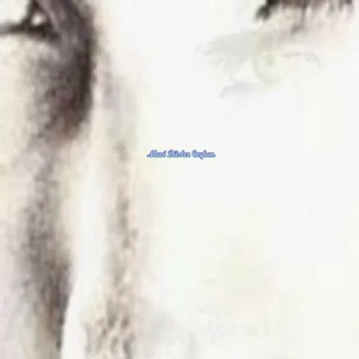 YARİM ŞİMDİ NEREDESİN