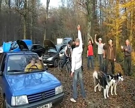 Furious dogs CAPA EER