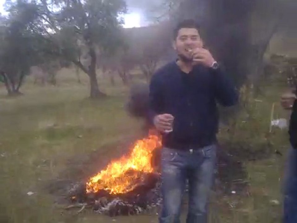Video0133