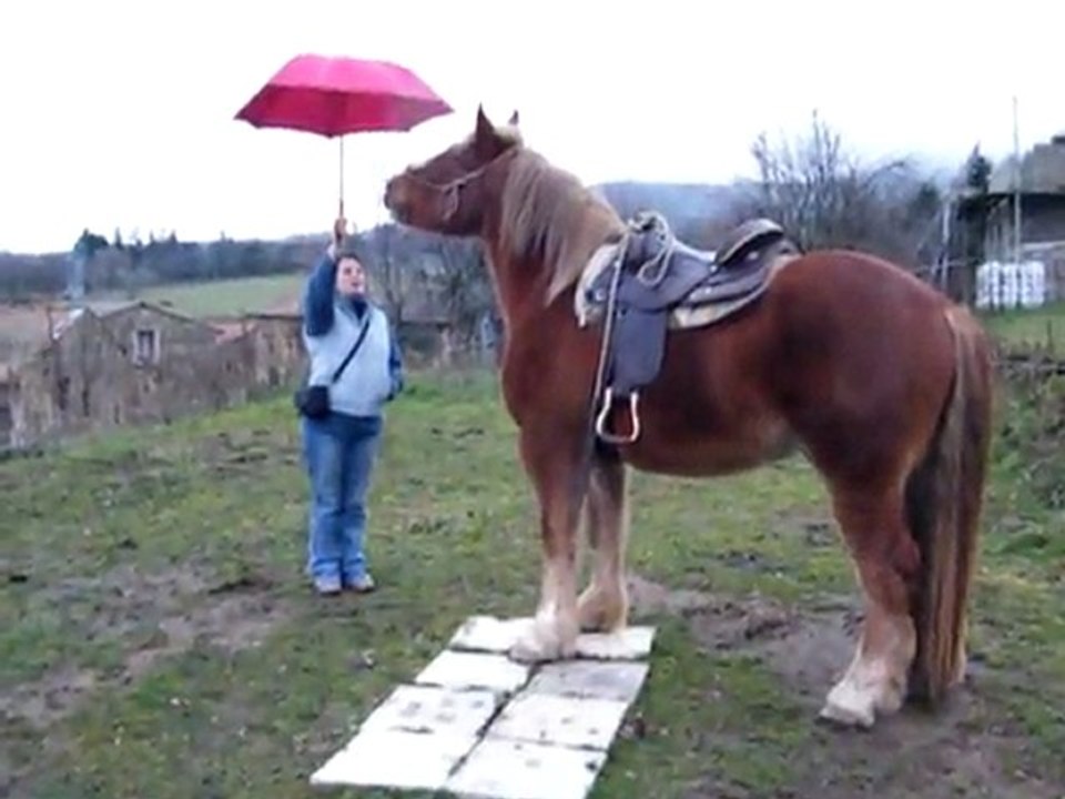 Ugo parapluie