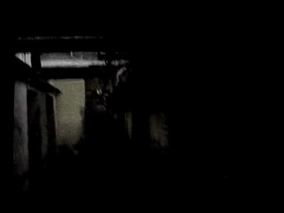 Who Dies In Siberian Slush - "The Woman We Are Looking For" (2011)