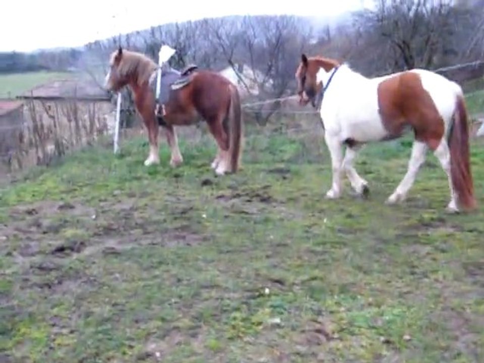 Ugo et la sac plastioque accrocher