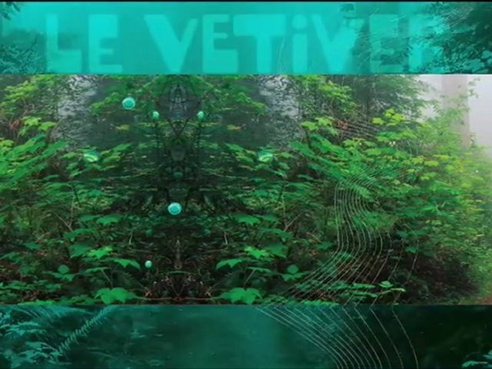 VETIVER-desktop