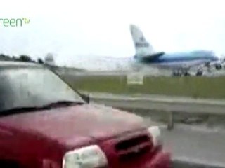 Stay Grounded (Tea and Toast)